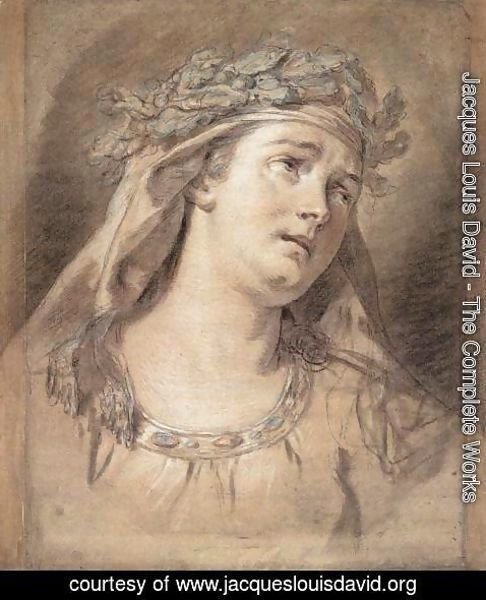 Jacques Louis David - Sorrow